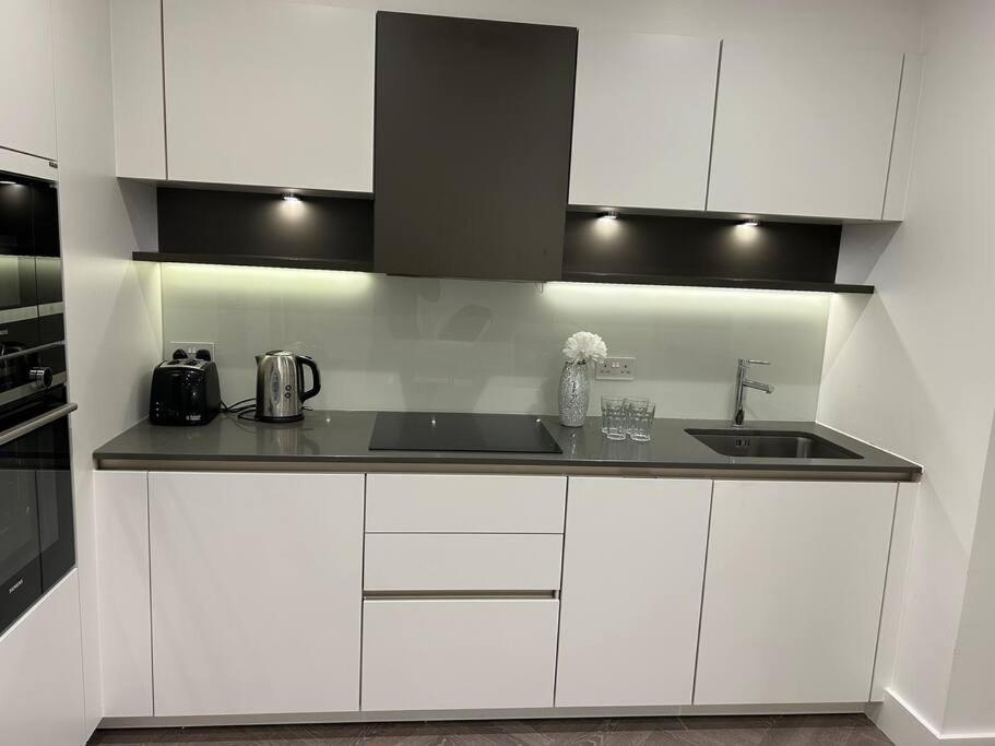 Modern 2 Bedroom Flat Near King'S Cross. London Eksteriør bilde